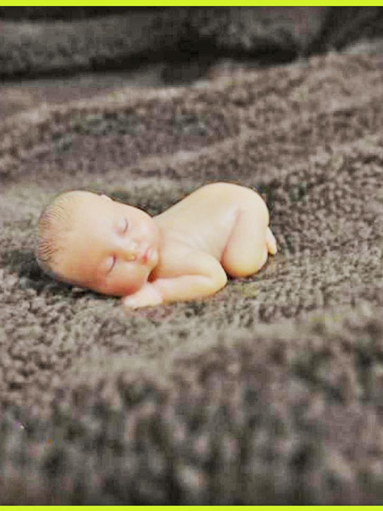 Cetakan Silikon 3D untuk Sabun - Baby Products Organic ulasan dan harga